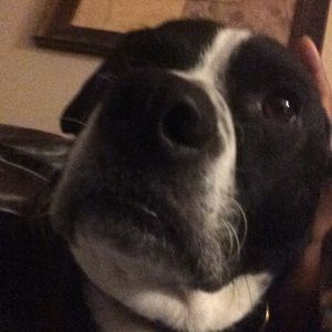 Meet your Posher, Ethan